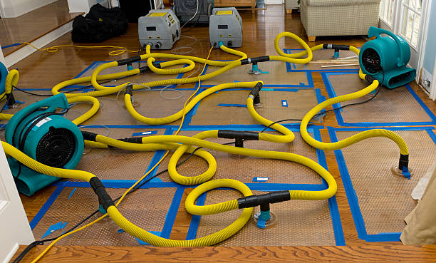 Professional Sewage Cleanup technician working in Baldwin, FL